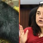 പൂഞ്ചിൽ സൈനിക വാഹനത്തിന് നേരെയുണ്ടായ ഭീകരാക്രമണം; അന്വേഷണം ഏറ്റെടുത്ത് എൻ ഐ എ