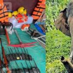 വാളയാറിൽ ടാങ്കർ ലോറി അപകടം; വൻ തോതിൽ വാതക ചോർച്ച