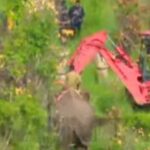 പോസ്റ്ററിൽ സംവിധായകരുടെ ചിത്രമില്ല ; ഫിലിം ഫെയര്‍ പുരസ്കാരം ബഹിഷ്കരിച്ച് സംവിധായകൻ വിവേക് അഗ്നിഹോത്രി