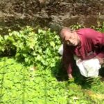 മാടാരിക്കുഴിയിൽ മൂസ്സക്കോയ ഹാജി നിര്യാതനായി