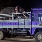 പാത്തിപ്പാലത്തെ ഒന്നരവയസുകാരിയുടെ കൊലപാതകം: കേസില്‍ വിചാരണ തുടങ്ങി