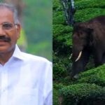 യുഎഇയിലെ സ്വകാര്യ മേഖലയില്‍ പെരുന്നാള്‍ അവധി പ്രഖ്യാപിച്ചു