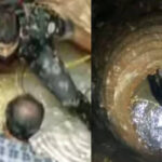 കെഎസ്ആര്‍ടിസി ജീവനക്കാരുടെ സമരം യുഡിഎഫ് ഏറ്റെടുക്കും: വിഡി സതീശൻ