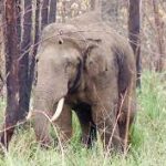 നിർമാതാവ് അവഹേളിച്ചു: ഷെയ്ന്റെ 2 കത്തുകൾ പുറത്ത്