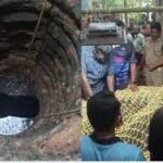 കാട്ടിറച്ചി കടത്താൻ ശ്രമിച്ചുവെന്ന കള്ളക്കേസ്; സരുൺ സജിക്ക് എതിരായ കേസ് പിൻവലിച്ച് വനം വകുപ്പ്