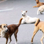 സുരക്ഷാ ക്യാമറ: ഏഴ് ചോദ്യങ്ങളുമായി യുഡിഎഫ്