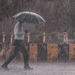 ‘സുരക്ഷിതമായും സഹാനുഭൂതിയോടെയും ദൗത്യം നിർവ്വഹിച്ചു’: അരിക്കൊമ്പൻ ദൗത്യത്തിൽ പങ്കെടുത്തവരെ അഭിനന്ദിച്ച് ഹൈക്കോടതി