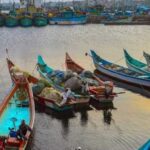 മഹാത്മാ ഗാന്ധിക്ക് പകരമായി സവർക്കർ; പാഠഭാഗത്ത് ഉൾപ്പെടുത്തി ഡൽഹി സവരകലാശാല