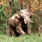 കേരളത്തിലേത് ജനങ്ങളെ വെല്ലുവിളിക്കുന്ന സർക്കാർ; സെക്രട്ടറിയേറ്റ് വളയൽ സമരങ്ങളുടെ ആദ്യഘട്ടം; രമേശ് ചെന്നിത്തല