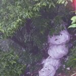 കുഞ്ഞുങ്ങള്‍ക്ക് സൗജന്യ ഹൃദയ ശസ്ത്രക്രിയ; കോഴിക്കോട് മെഡിക്കല്‍ കോളേജ് ഉൾപ്പെടെ 9 ആശുപത്രികളിൽ സൗകര്യം ഒരുക്കും