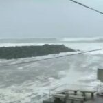 അട്ടപ്പാടി ഷോളയൂരിൽ ആദിവാസി യുവാവിനെ കൊല്ലപ്പെട്ട നിലയിൽ കണ്ടെത്തി; കാട്ടുപന്നിയുടെ ആക്രമണമാണെന്ന് സംശയം