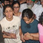 ചത്തമംഗലം പീലി വിടർത്തിയാടുന്ന മയിലുകൾ കൗതുക കാഴ്ചയാകുന്നു