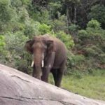 നെടുമങ്ങാട് ജില്ലാ ആശുപത്രിയിൽ ചികിത്സ കിട്ടാതെ ഒന്നര വയസുകാരി മരിച്ചെന്ന് പരാതി