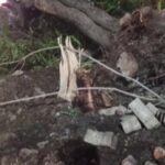 ക്രിമിനൽ കേസ്സുകളിലെ പ്രതി ആക്കിഫ് കാപ്പ നിയമ പ്രകാരം അറസ്റ്റിൽ