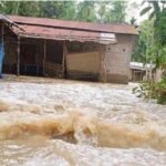 തലക്കുളത്തൂർ അന്നശ്ശേരി ജുമാമസ്ജിദ് വക സ്ഥലത്ത് നിന്നും ചന്ദന തടികൾ മുറിച്ചു കടത്താൻ ശ്രമം; രണ്ട് പേരെ അറസ്റ്റ് ചെയ്ത് വനം വകുപ്പ്