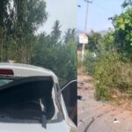 ആലപ്പുഴ വ്യാജ ഡിഗ്രി വിവാദം; സർട്ടിഫിക്കറ്റ് എസ്എഫ്‌ഐ നേതൃത്വത്തിന് മുന്നില്‍ ഹാജരാക്കിയെന്ന് നിഖിൽ തോമസ്