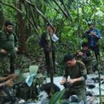 കൂടത്താൾ ആമിന നിര്യാതയായി