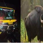 അരിക്കൊമ്പൻ കന്യാകുമാരി വന്യജീവി സങ്കേതത്തിലേക്കു കടന്നു