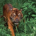 കണ്ണൂരില്‍ 11 വയസ്സുകാരനെ തെരുവുനായ കടിച്ചു കൊന്ന സംഭവം ഞെട്ടിപ്പിക്കുന്നത്: എം.ബി രാജേഷ്