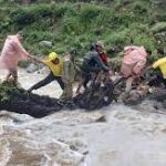 അസോസിയേറ്റ് പ്രൊഫസർ നിയമനം: സുപ്രീംകോടതിയിൽ തടസഹർജിയുമായി പ്രിയ വർഗീസ്