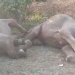 വിമാന യാത്രക്കാർക്ക് ആശ്വാസം; ആഭ്യന്തര വിമാനങ്ങളിലെ ടിക്കറ്റ് നിരക്കിൽ 50 ശതമാനം കുറവ്