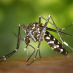 “സിപിഎമ്മിന്റെ തനിനിറം പുറത്തു വന്നു, സുധാകരനെ ചങ്കുകൊടുത്തും സംരക്ഷിക്കും”: വിഡി സതീശൻ