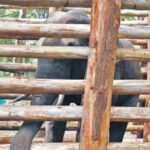 യമുനയിൽ ജലനിരപ്പ് കുറയുന്നു; ഡൽഹിയിൽ കനത്ത ജാഗ്രത