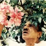 പരിസ്ഥിതി നിയമങ്ങള്‍ ലംഘിച്ച് ബംഗ്ലാവില്‍ കൃത്രിമ തടാകം നിര്‍മ്മിച്ചു; നെയ്മറിന് 28 കോടി രൂപ പിഴ