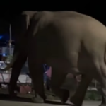 മലബാറിലെ പ്ലസ് വൺ സീറ്റ് പ്രതിസന്ധി; മലപ്പുറത്ത് അധികം ബാച്ചുകള്‍ അനുവദിക്കും; വി ശിവൻകുട്ടി