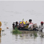 മന്ത്രിയുടെ പൈലറ്റ് വാഹനം അപകടത്തിൽപ്പെട്ട സംഭവം: പൊലീസ് ഡ്രൈവർക്കും ആംബുലൻസ് ഡ്രൈവർക്കും എതിരെ പോലീസ് കേസ്