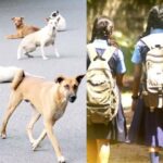 ബംഗാള്‍ തിരഞ്ഞെടുപ്പ്: അക്രമങ്ങളില്‍ 18 മരണം ; 700 ബൂത്തുകളില്‍ റീപോളിങ് നടത്താന്‍ തെരഞ്ഞെടുപ്പ് കമ്മിഷന്‍