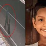 ഇന്ത്യൻ അരിയുടെ പുനർകയറ്റുമതി വിലക്കി യുഎഇ