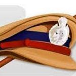 മഞ്ഞൾ പ്രസാദത്തിൻ്റെ നൈർമല്യത്തിന് അറുപത്; ചിത്രക്ക് ജന്മദിനാശംസകൾ നേർന്ന് പ്രതിപക്ഷ നേതാവ്