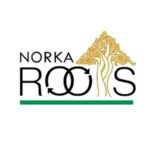 ചാത്തമംഗലം കൂളിപ്പിലാക്കൽ സരോജിനി നിര്യാതയായി