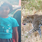 കോഴിക്കോട് അന്താരാഷ്ട്ര വിമാനത്താവളം സ്വകാര്യവത്കരിക്കും