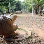 കോഴിക്കോട് എളേറ്റിൽ വട്ടോളിയിൽ ലഹരിവിൽപന വ്യാപകം:പ്രതിരോധവുമായി നാട്ടുകാർ.