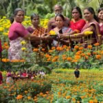 കുഞ്ഞിനെ തട്ടിക്കൊണ്ട് പോകാൻ ശ്രമം; ട്രാൻസ് വുമൺ പിടിയിൽ