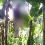 സുഹൃത്തിന് മെസേജ് ചെയ്യുന്നതില്‍ പ്രകോപനം;17-കാരന്‍ അമ്മയെ കോടാലികൊണ്ട് വെട്ടിക്കൊലപ്പെടുത്തി