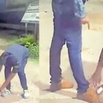 അട്ടപ്പാടിയിൽ കാറിന് നേരെ കാട്ടാനയുടെ ആക്രമണം; അഞ്ചംഗകുടുംബം രക്ഷപ്പെട്ടത് തലനാരിഴയ്ക്ക്