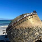 വന്ദനക്ക് മരണാനന്തര ബഹുമതിയായി എംബിബിഎസ്;ഏറ്റു വാങ്ങി മാതാപിതാക്കൾ