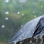 ‘താൻ ഇന്നുവരെ കൈകൊണ്ടു കാശ് വാങ്ങിയിട്ടില്ല, കൈകൊണ്ട് എന്നു മാത്രമേ പറയുന്നുള്ളൂ’: കുഞ്ഞാലിക്കുട്ടി