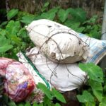 യുവാവിൽ നിന്നു ഫോൺ പിടിച്ചുവാങ്ങി, തിരികെ നൽകാൻ കാലിൽ ചുംബിക്കാൻ ഭീഷണി, ഒടുവിൽ പോലീസ് കേസ്