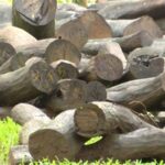 ആർ ജെ രാജേഷ് വധക്കേസ്; പ്രതികൾക്ക് ജീവപര്യന്തം തടവും രണ്ട് ലക്ഷം രൂപ പിഴയും