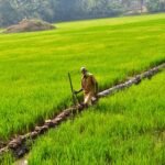 കൊല്ലം കളക്ട്രേറ്റ് ബോംബ് സ്ഫോടനക്കേസ്; പ്രതികൾ കോടതിയുടെ ജനൽ ചില്ല് അടിച്ച് തകർത്തു