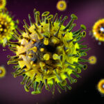 മകളും എബിവിപി പ്രവർത്തകരും തമ്മിലുള്ള തർക്കം;വിരമിച്ച എസ്ഐ യുടെ വീടിന് നേരെ ഗുണ്ടാ ആക്രമണം