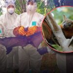 കരിവന്നൂർ സഹകരണ ബാങ്ക് കള്ളപ്പണ കേസ് പരിശോധന പൂർത്തിയായി