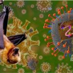 റവന്യൂ ജില്ല വോളി ബോൾ ; കുന്ദമംഗലം സബ്ജില്ല ഓവർ ഓൾ ചാമ്പ്യന്മാർ