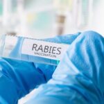 ലിജോ ജോസ് പെല്ലിശ്ശേരി സംവിധാനം ചെയ്യുന്ന മോഹൻലാൽ ചിത്രം മലൈക്കോട്ടൈ വാലിബന്റെ റിലീസ് തിയതി പ്രഖ്യാപിച്ചു.