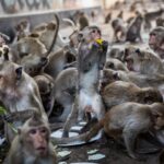 ഡൽഹിയിൽ പന്ത്രണ്ട് വയസുകാരിയെ പീഡിപ്പിച്ച് പത്തൊമ്പത്കാരൻ; പ്രതിയെ പിടികൂടി പോലീസ്