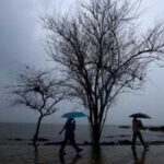 സംഭരിച്ച നെല്ലിന്‍റെ വില കർഷകർക്ക് നൽകിയില്ല; സർക്കാരിനെതിരെ സ്വരം കടുപ്പിച്ച് ഹൈക്കോടതി